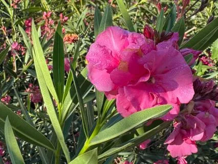 Affirmations For Creation And Bringing Your Vision To Life