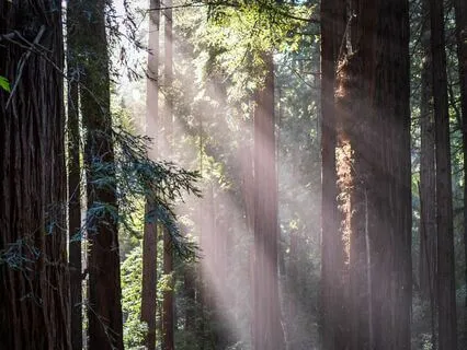 Affirmations For Difficult Days