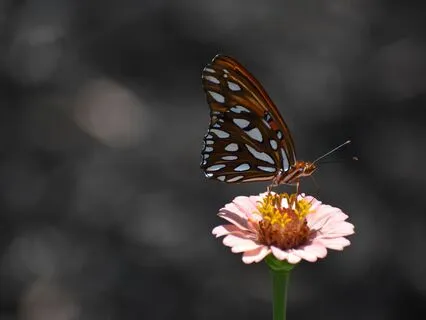 Affirmations For Easing Anxiety