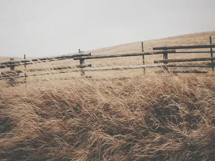 Affirmations For Easing Everyday Anxiety