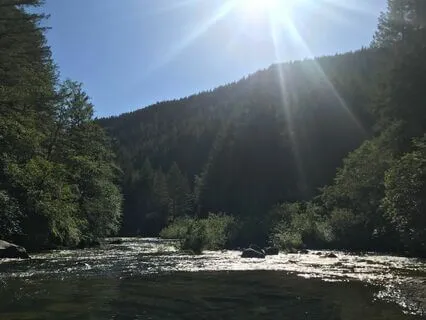 Affirmations For Educators And Teachers Starting Their Day