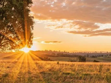 Affirmations For Effortless Overflow