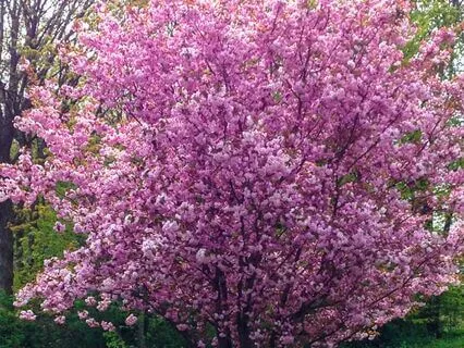 Affirmations For Embracing Abundance