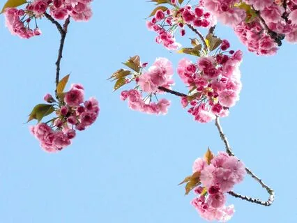 Affirmations For Embracing Change & Personal Growth