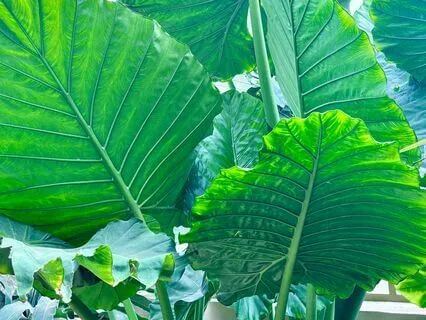 Affirmations For Embracing Your Weirdness