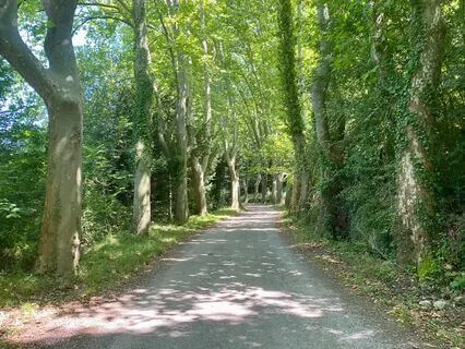 Affirmations For Empaths And Highly Sensitive People (HSP)