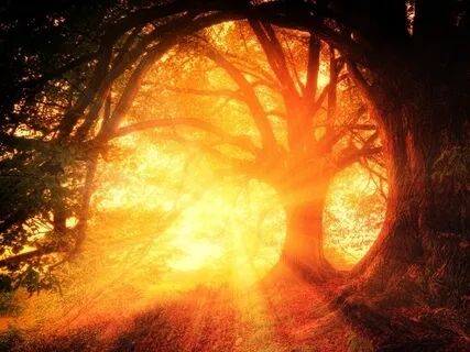 Affirmations For Energy And Invigoration