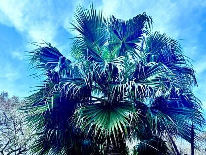 Affirmations For Fertility