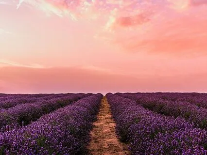 Affirmations For Financial Abundance