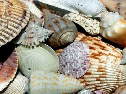 Affirmations For Financial Flow