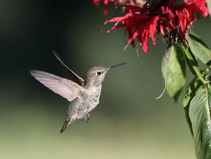 Affirmations For Play, Pleasure, And Presence