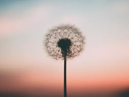 Affirmations For Gratitude & Positivity