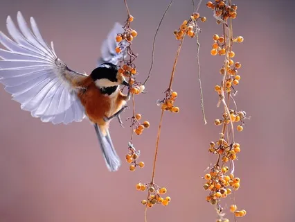 Affirmations For Gratitude