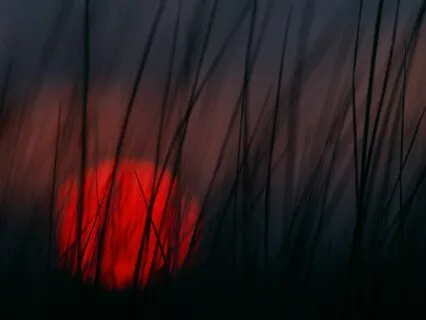 Affirmations For Healing From A Narcissistic Relationship