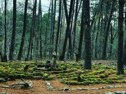 Affirmations For Healing The Wounded Writer