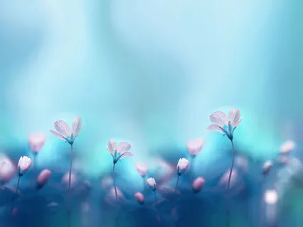 Affirmations For Health & Wellbeing