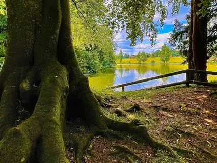 Affirmations For Health, Wealth & Abundance