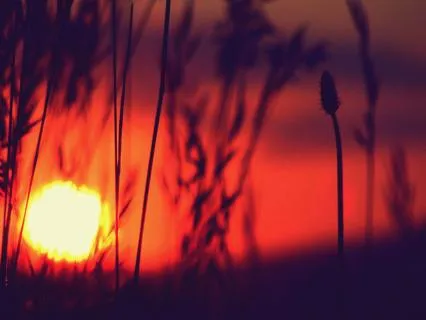 Affirmations For Health & Wellness To Sleep Better