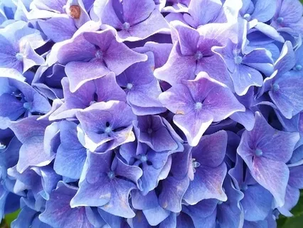 Affirmations For Inner And Outer Beauty