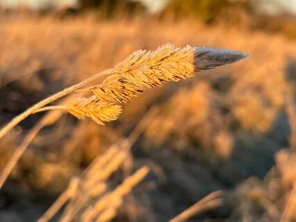 Affirmations For Inner Calm And Confidence