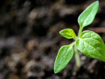 Affirmations For Resilience & Inner Peace