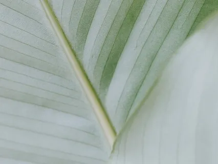 Affirmations For Inspiration & Creating Your Dream Life