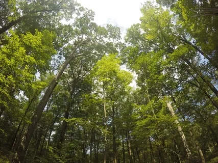 Positive Affirmations For Difficult Times