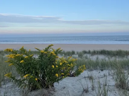 Affirmations For Joy