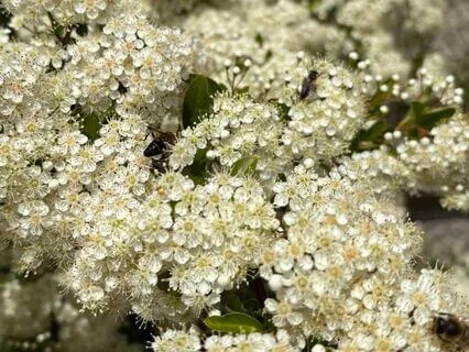 Affirmations For Joyful Productivity