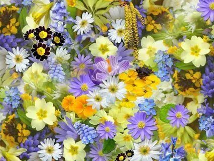 Affirmations For Latinas