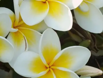 Affirmations For Letting Go Of Control And Finding Peace