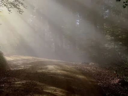 Affirmations For Love & Worthiness