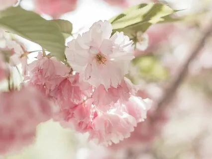 Affirmations For Love