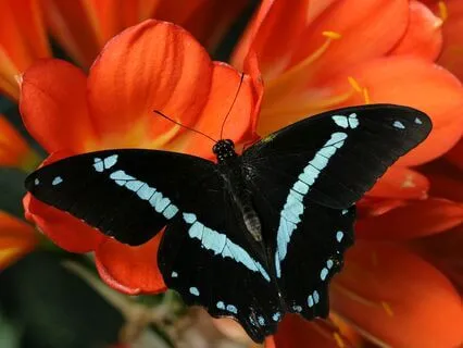 Affirmations For Luck And Abundance