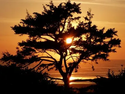 Affirmations For Miracle Flow State With 528 Hz + 7.83 Hz