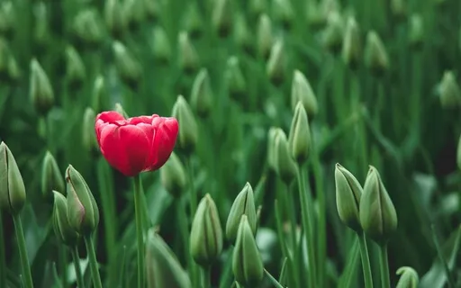 Affirmations For Motherhood 