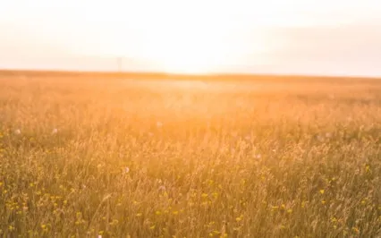 Affirmations For Musicians | Follow Your Dreams