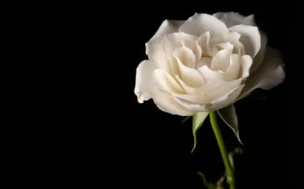 Affirmations For Musicians | I Am Enough