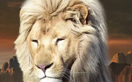 Affirmations For Musicians Manifest A Number One Hit Single