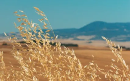 Affirmations For Musicians | Trust