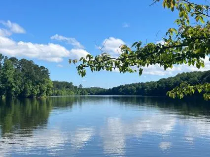 Affirmations For Natural Beauty