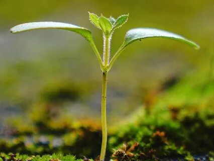 Affirmations For New Job