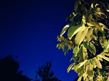 Affirmations For Overthinking Before Going To Sleep