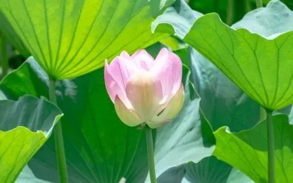 Affirmations For Patience