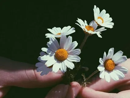 Affirmations For Perfect Clients For Real Estate Agent