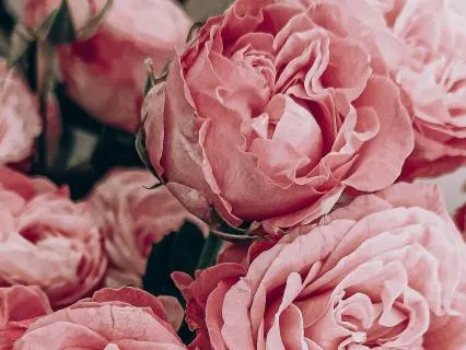 Affirmations For Perimenopause And Menopause