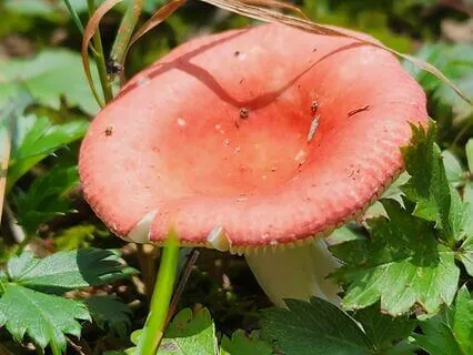 Affirmations For Personal Growth & Embracing Change