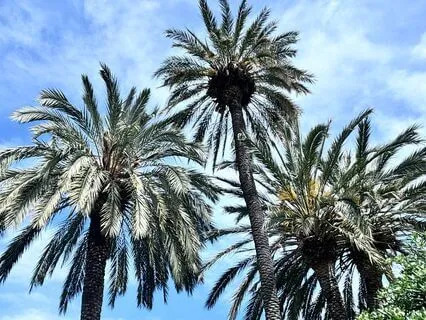 Affirmations For Personal Transformation