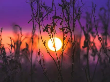 "You Are" Sleep Affirmations For Positive Body Image