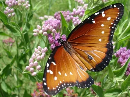 Affirmations For Positive Self-Talk